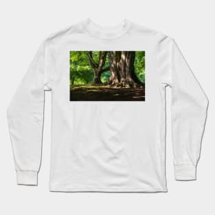 Belfast Woods Long Sleeve T-Shirt